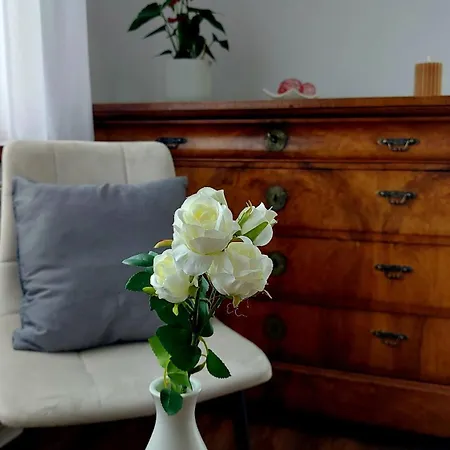 Haus Woschi Kehl-auenheim *