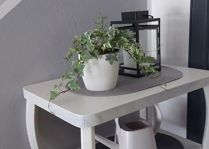 Haus Woschi Kehl-auenheim Hébergement de vacances